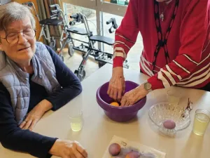 whatsapp image 2026-04-14 at 14.48.33 4